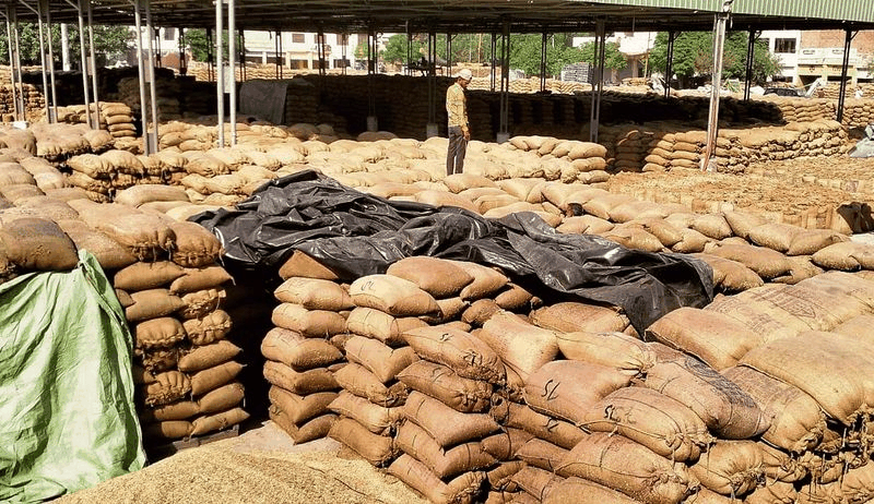 Paddy stored in godowns before milling