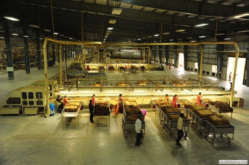 GLT factory green feeding table